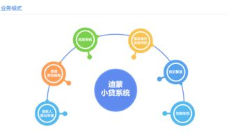 迪蒙小额系统 价格分析、厂家信息、图片展示与软件开发指南
