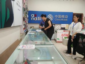 三星镇开展“扫黄打非”专项检查，筑牢网络安全防线，净化软件开发生态